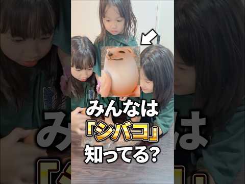 【ドッキリ】3姉妹の中で大流行中の「シバコ」をあげてみたｗｗｗ #shorts