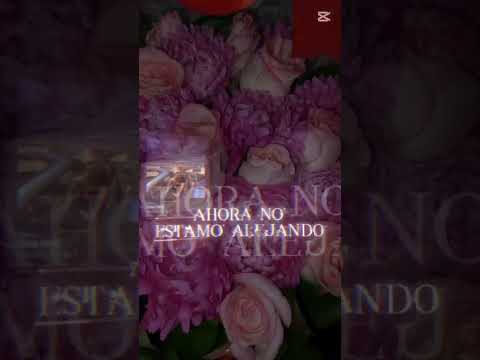 какие цветы😍