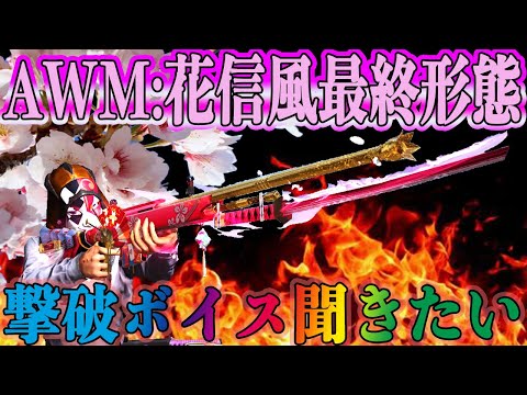 【荒野行動】AWM:花信風最終形態にしたんだけど過去1カッコ良過ぎなんだけどwwwwwwwwwwwwww