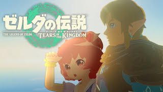 【ゼルダの伝説ティアーズオブザキングダム】続・立派な新聞記者を目指します！part-26