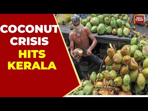 Kerala's Coconut Crisis: God's Own Country Loses Its Identity?