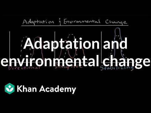 Adaptation and environmental change | High school biology | Khan Academy