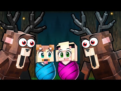 WIR WERDEN VOM 99 NÄCHTE HIRSCH ADOPTIERT!