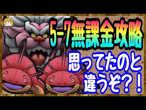 #114【DQW】急に難易度が穏やかになるストーリー5-7無課金縛り攻略【ドラクエウォーク】