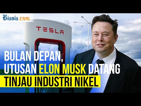 Hasil Pertemuan Luhut B. Pantjaitan dengan Elon Musk, Investasi Tesla Terwujud?!