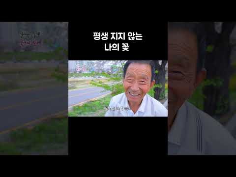 벚꽃 구경하는 노부부 #short