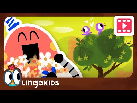 SEASONS OF THE YEAR 🌺🌞🍁❄️ I Know Nothing | Lingokids Cartoons for kids