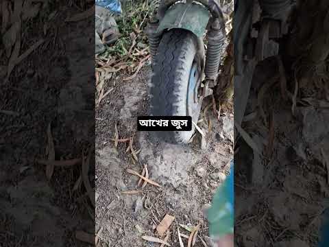 আখের জুস