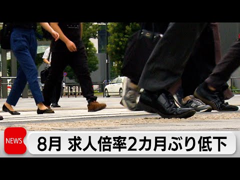2023年8月 求人数と失業率の概要とポイント サムネイル
