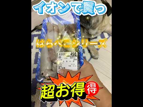 はらぺこシリーズ #パグ #イカ #うまい #はらぺこ #イオン