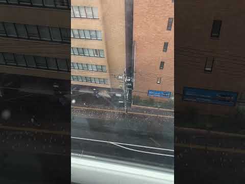 雪⛄️小樽 2025-10-28