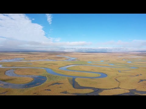 CGTN: How to protect wetland and build a shared future for all life on Earth? CGTN: How to protect wetland and build a shared future for all life on Earth?