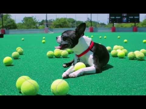 Watch this video