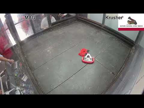 SCAR November Beetle Battle