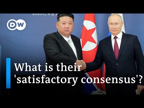 Will Russia help North Korea build military satellites? | DW News