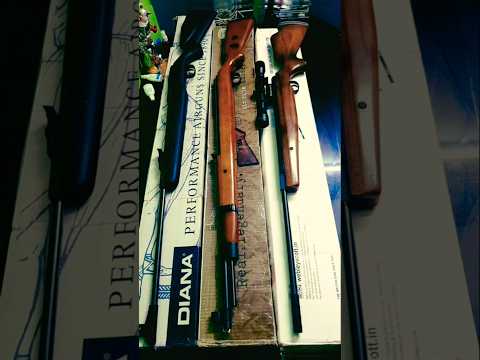 DIANA MAUSER & WEBLEY SPRINGER RIFLE GROUPING.#diana #mausergaming #webleyandscott #springer #india