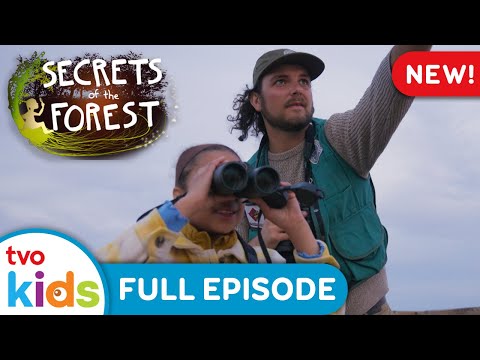 Forest Pit Stop 🌳🐦‍⬛ SECRETS OF THE FOREST - Season 1 Full Episode | TVOkids