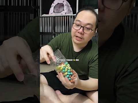 review snack sosis kucing Pawsitive Vibes