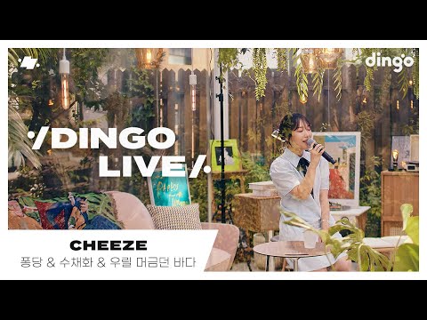 [#딩고라이브 온실VER.] 치즈(CHEEZE) - 퐁당, 수채화, 우릴 머금던 바다 l 딩고뮤직 l Dingo Music