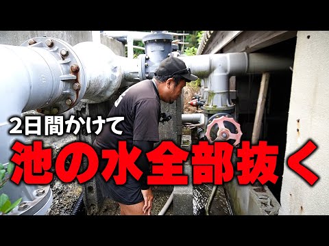 とある漁村にある池の水をぜんぶ抜いてみた…