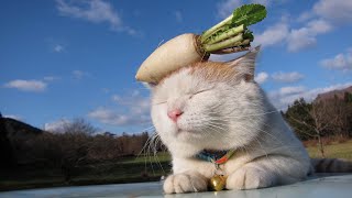動画サムネイル