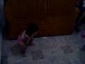 danielgatooo
