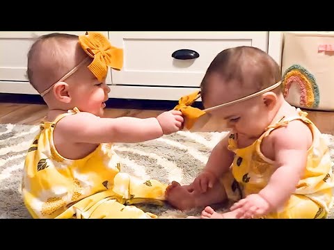 Twin Babies Fighting Over Pacifier - Laughing Baby Short Video