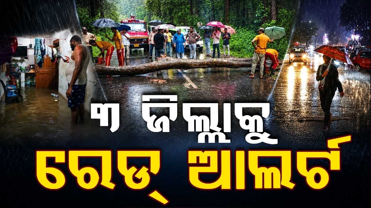 Odisha Weather Update: Red Alert For 3 Districts As Low Pressure Intensifies | Heavy Rain Alert