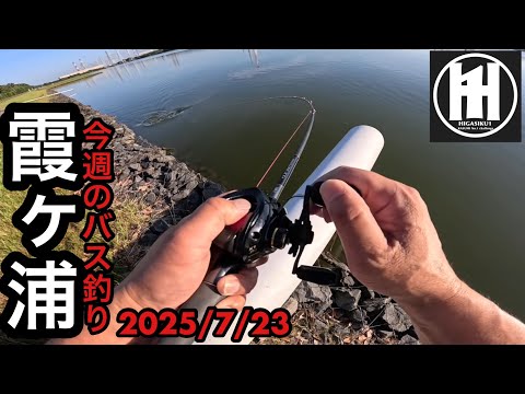 夏のトップウォーターはバズベイトで決まり⁈バス釣り今週の霞ヶ浦！2025年7月23日