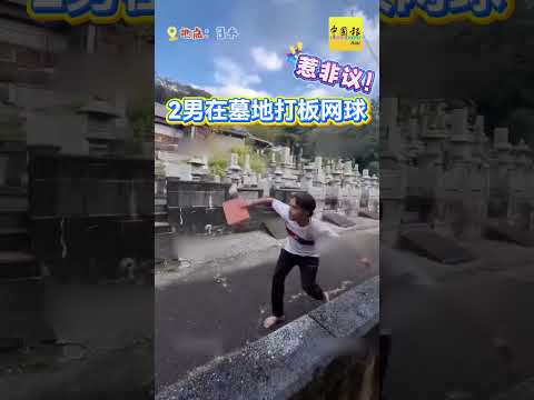慎选场地很重要！#动新闻 #中国报 #打板网球 #墓地 #日本