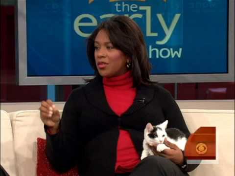 Ask It Early: Pet Care - YouTube