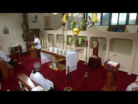 Lecturas y homilía - 2025-10-31 - P. Joseph