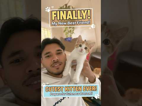 FINALLY! Meet My New BEST FRIEND! (Cutest Kitten EVER!)