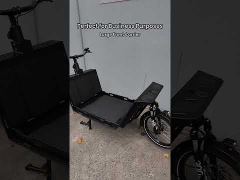 Urban Arrow Flatbed︱Dutch Cargo Bike