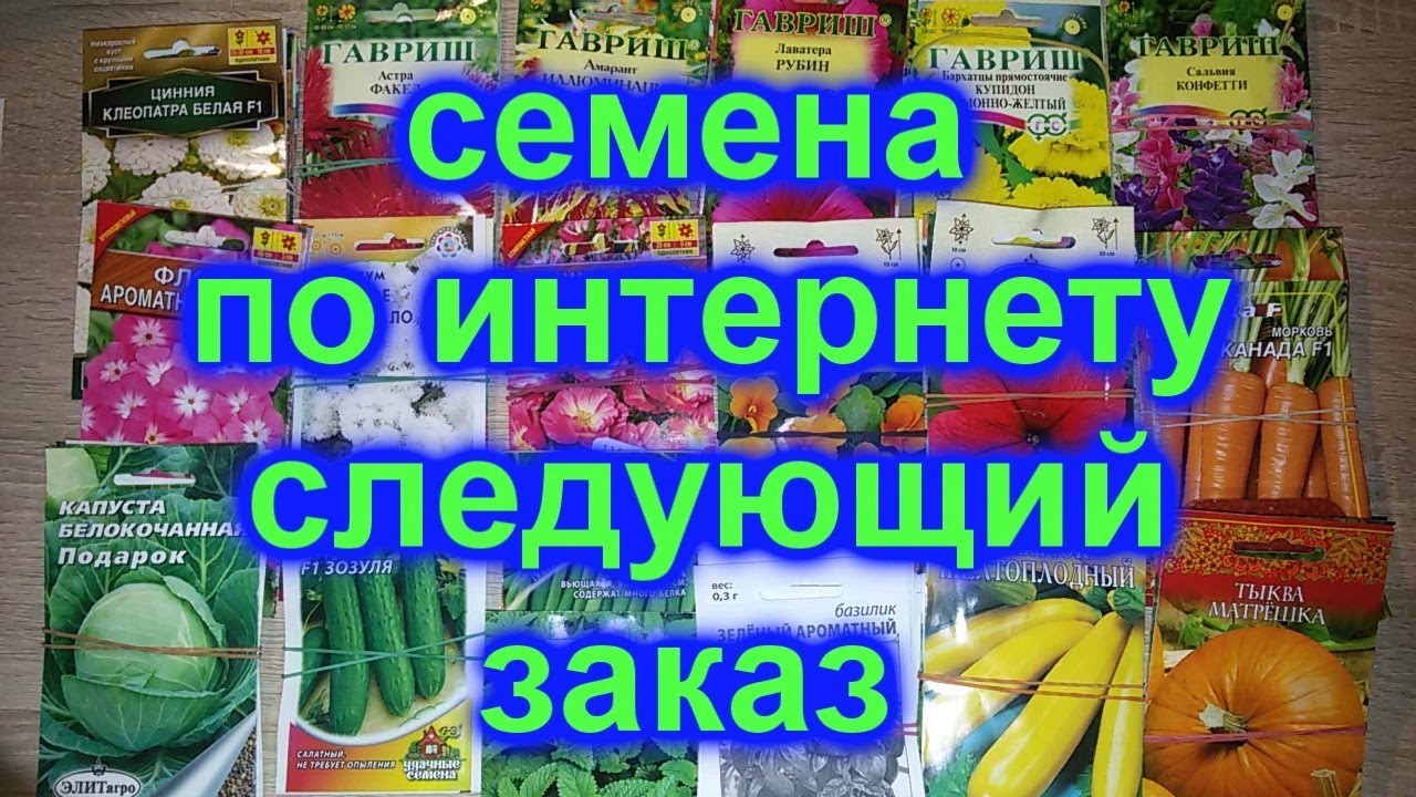 Профсемена интернет. ПРОФСЕМЕНА Соло каталог семян. Магазин профсемян Соло. Магазин семян Соло интернет профессиональных каталог. ПРОФСЕМЕНА Соло Белла.