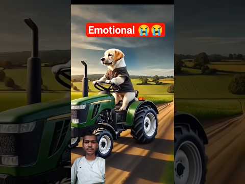 The cute poor dog hadn't cash , rich people 3#ai #animahal #shorts #emotionalstory