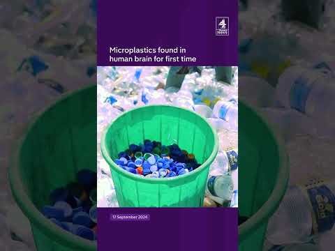 Microplastics found in human brain