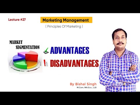 Market Segmentation ( Advantage & Disadvantages) Marketing