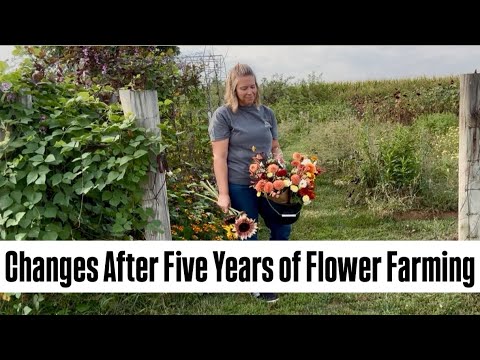 Flower Farm Season Recap & Changes for 2026: Zone 5 : cut flowers : flower farming