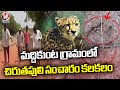 Public Fear Over Cheetah Movement In Maddikunta Village | Peddapalli  |V6 News