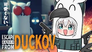 【Escape From Duckov】深夜のちょっとだけ小声ダッコフ!!難易度サバイバル【白上フブキ/ホロライブ】