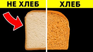 Хлеб для бутербродов — это не хлеб, а вода может быть мокрее