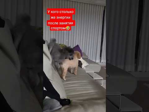 Я после занятий Йоги, Аэройоги, Танцев😁#Йога#Аэройога #Танцы #работа с телом #спорт