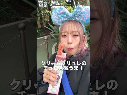 お酒飲んで食べての人生初ディズニーランドの過ごし方😇💙