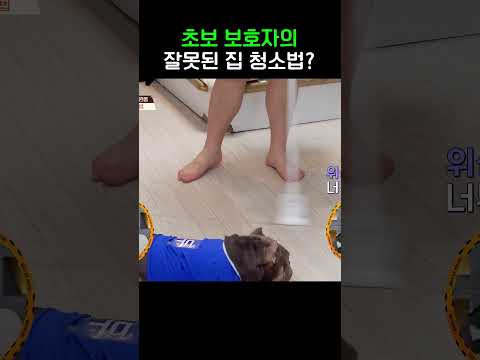 모두가 경악한 청소법 #개와늑대의시간2 #shorts