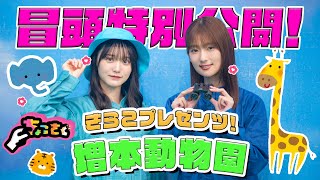 動画サムネイル