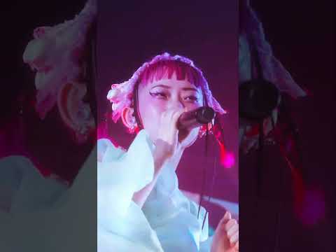 ヨーロッパツアーまであと4日！台北公演の思い出公開！距離歐洲巡演只剩下4天！公開台北場的回憶！ #水曜日のカンパネラ #wednesdaycampanella #shorts #shortvideo