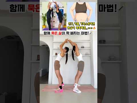 뱃살이 쭉쭉바진다고 난리난 커플운동 같이하실분..? #흥둥이 #workout #뱃살빼기