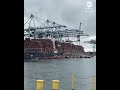 Containers topple off cargo ship, plunge into California waters