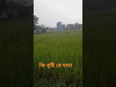 সেই রকম বৃষ্টি  হচ্ছে 🥰❣️#shorts #subscribe